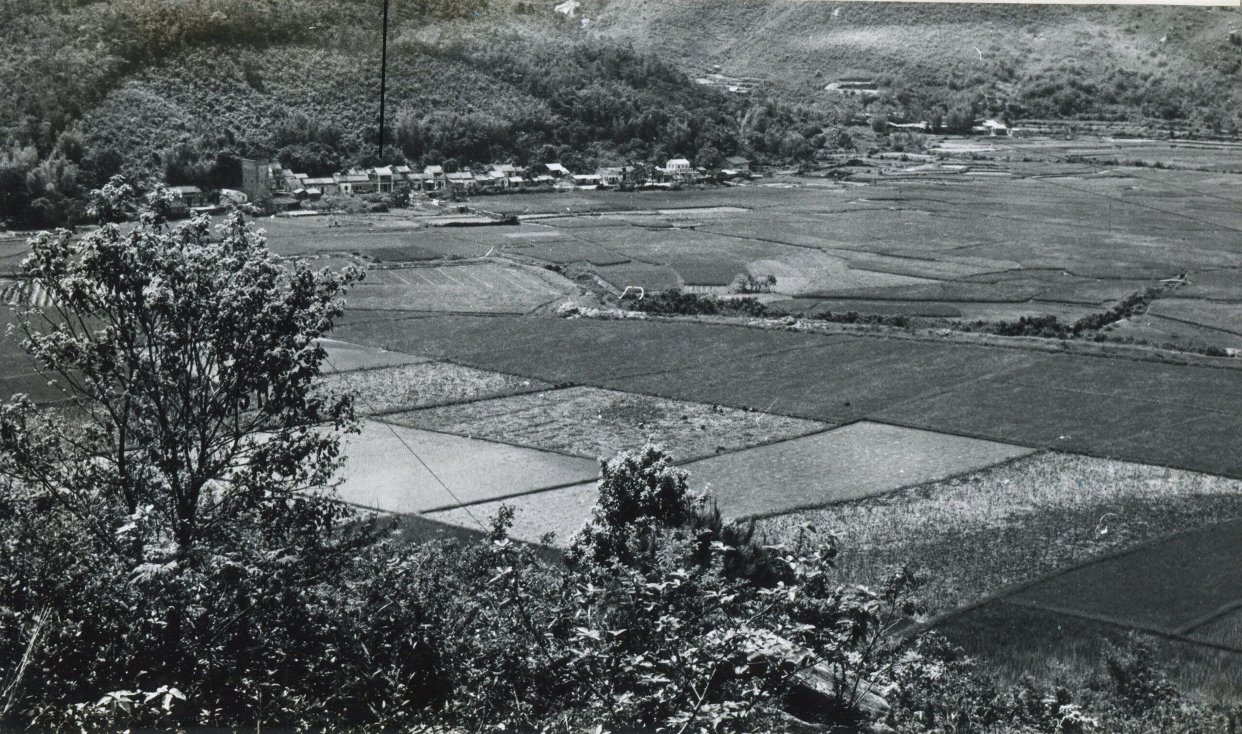 攝影：譚添鉅（1964）圖片來源：香港大學地理系